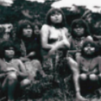 Informe: Los Pueblos Indígenas del Extremo Sur - Los Yagán