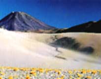 Foto: Paisaje del Altiplano