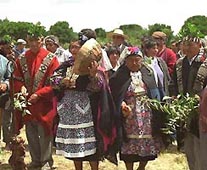 Ceremonia del Nguillatun